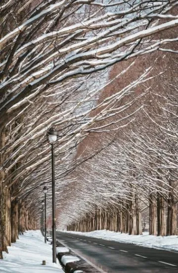 冬の雪対策に必要な損害保険とはを徹底解説愛知県名古屋市の自宅と車を守る補償選び