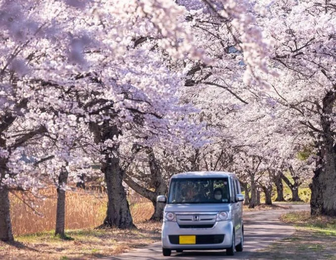 毎年自動車保険料が安くなった場合に愛知県で補償内容をより良くする方法と見直しのコツ