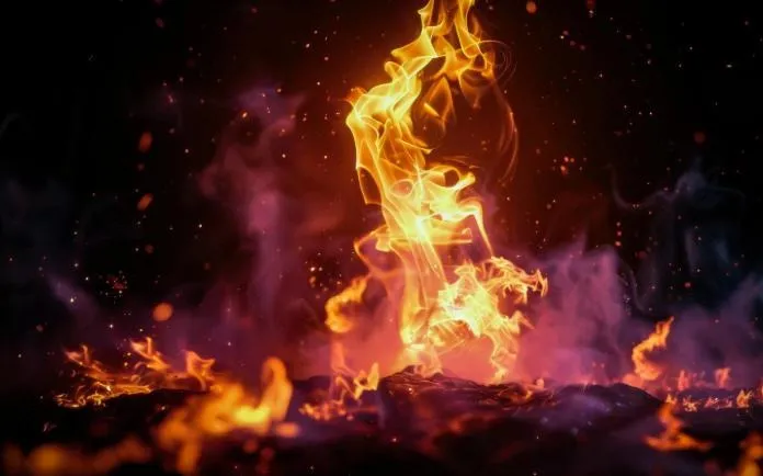 山火事対策と愛知県で安心を守るための火災保険活用法